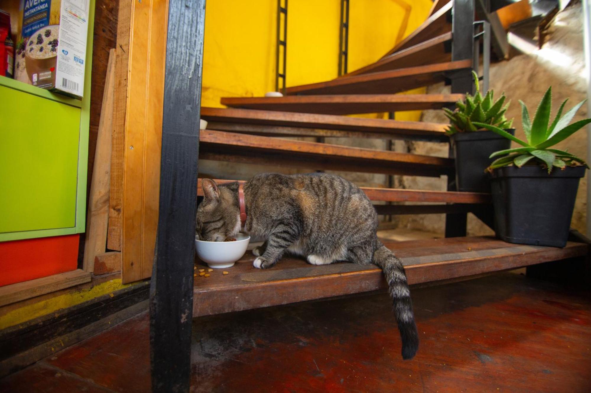 La Casa Del Puerto, Hostal Cultural, Cerro Alegre Valparaiso Bagian luar foto