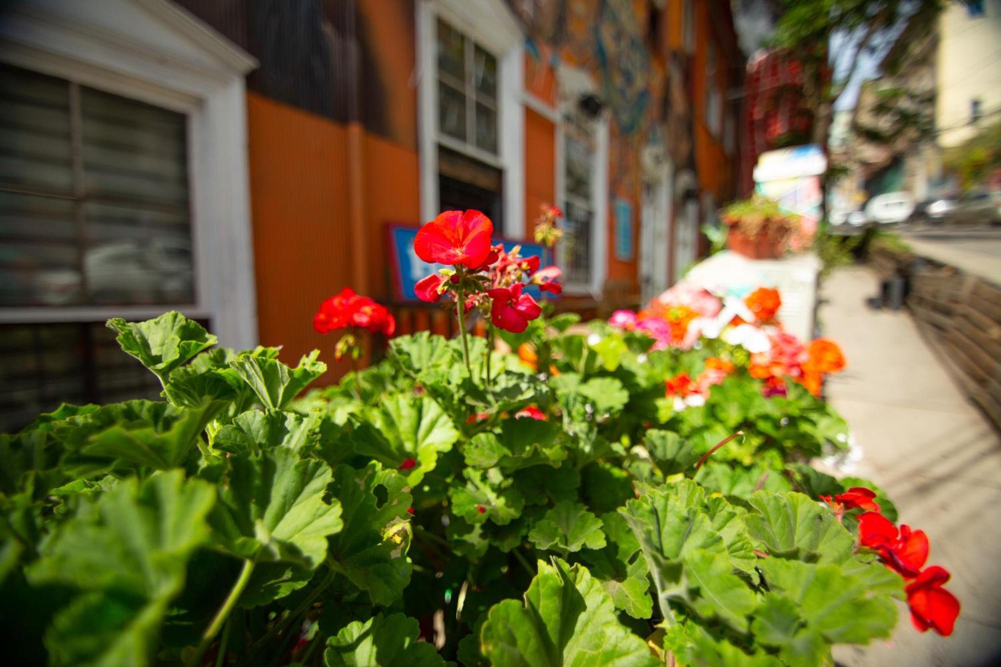 La Casa Del Puerto, Hostal Cultural, Cerro Alegre Valparaiso Bagian luar foto